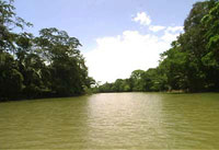 Cano Negro Wetlands, enjoy the best tour about natural wildlife
