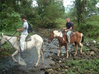 The horseback riding tour will take you to the forest...
