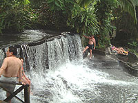 Tabacon Hot Spring Tour from La Fortuna