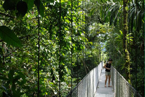 Arenal Hanging Bridges